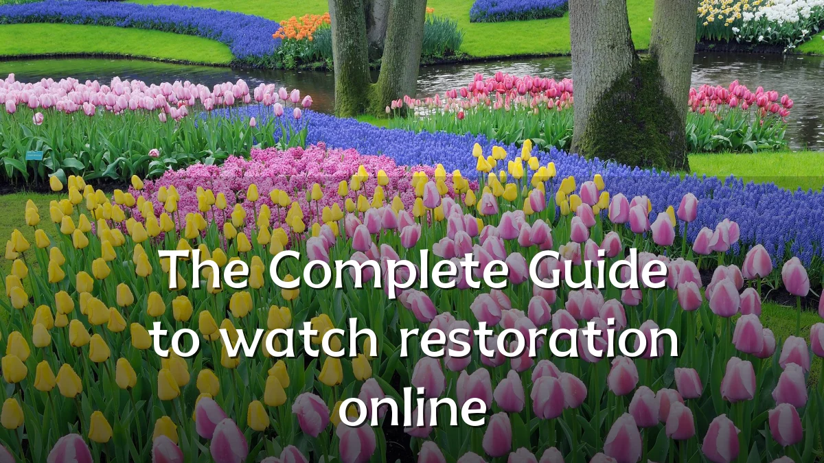 The Complete Guide to watch restoration online