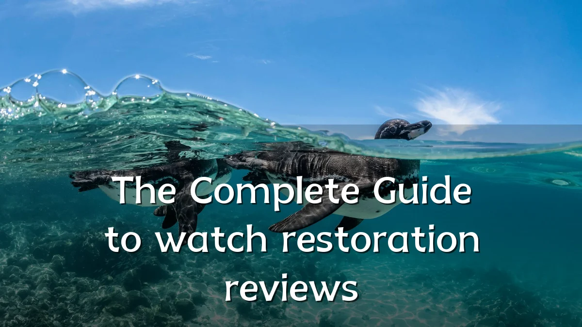 The Complete Guide to watch restoration reviews