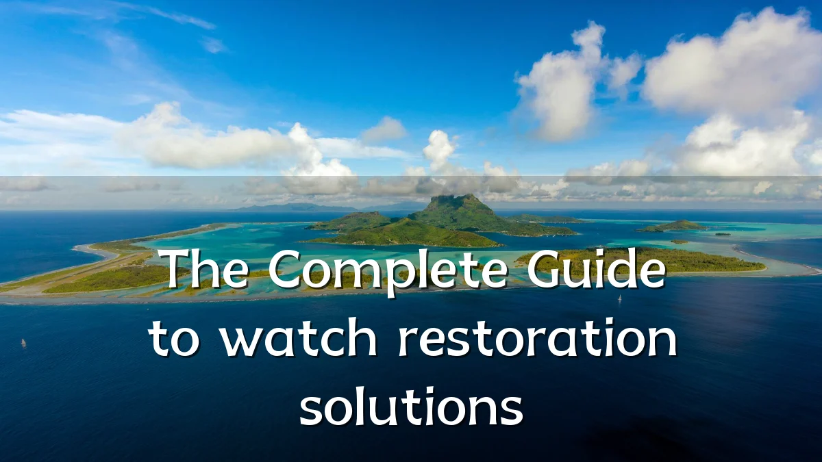 The Complete Guide to watch restoration solutions