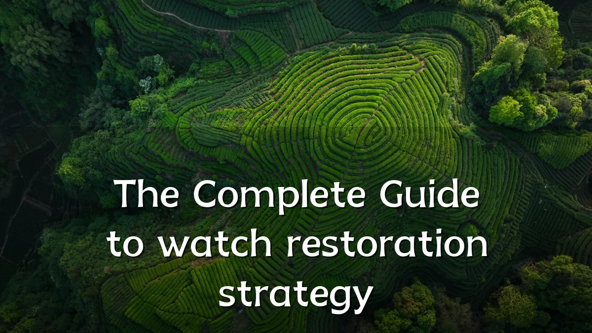 The Complete Guide to watch restoration strategy