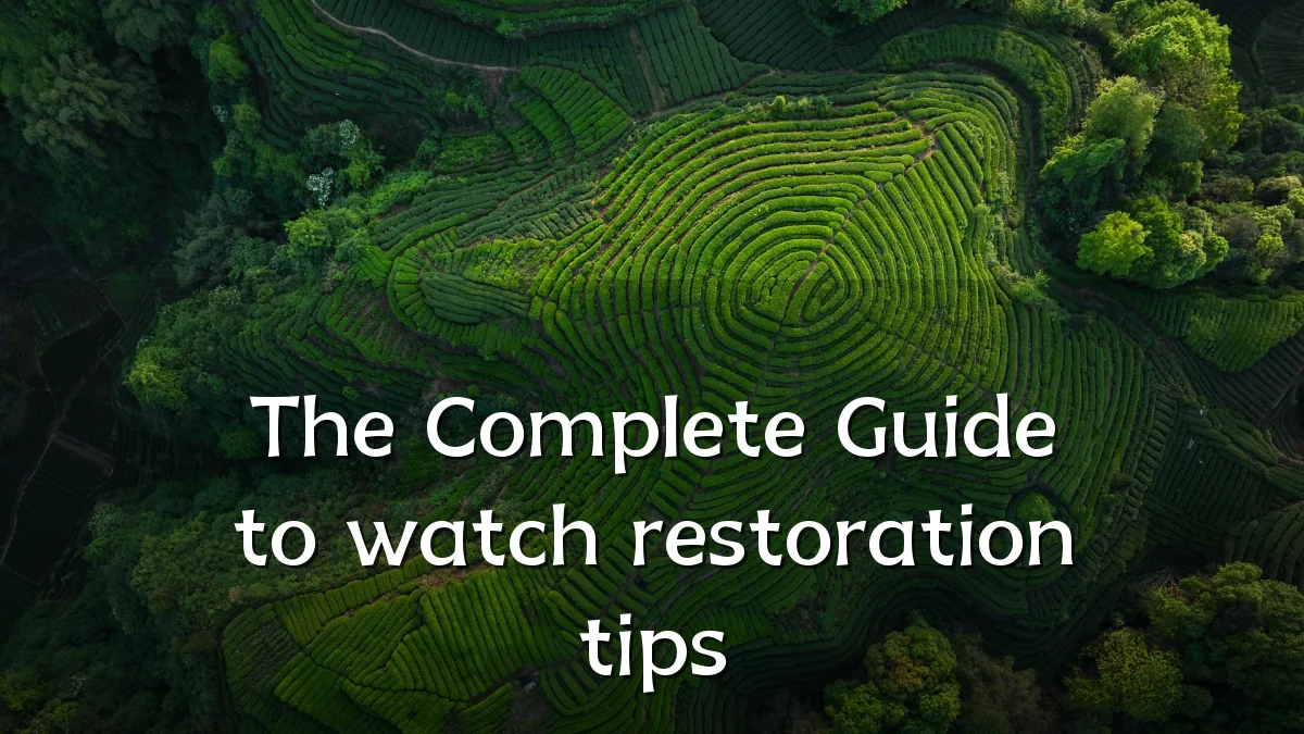 The Complete Guide to watch restoration tips