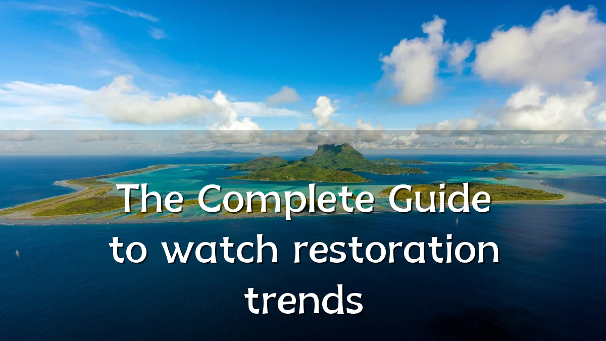The Complete Guide to watch restoration trends