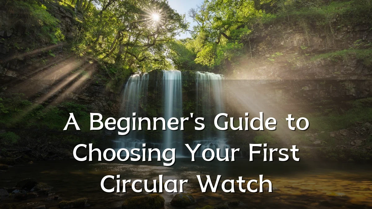 A Beginner's Guide to Choosing Your First Circular Watch