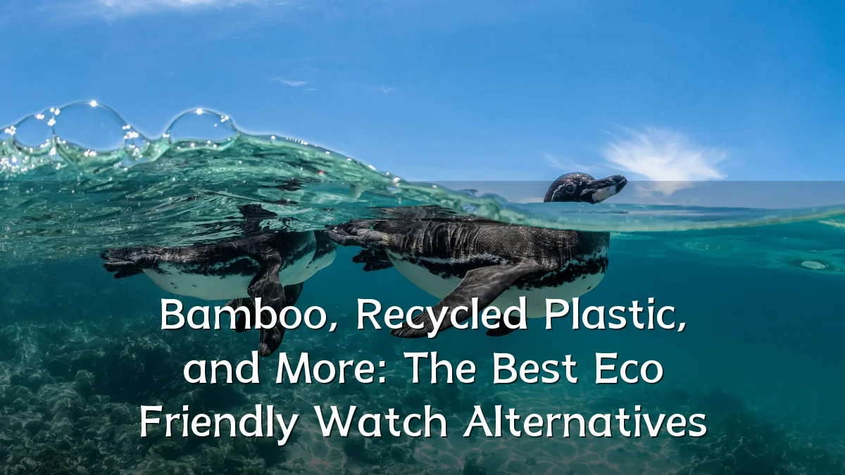 Bamboo, Recycled Plastic, and More: The Best Eco Friendly Watch Alternatives