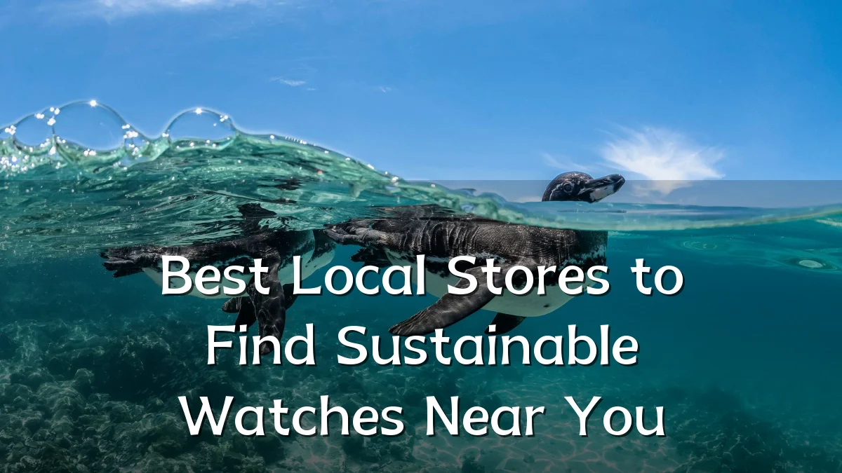 Best Local Stores to Find Sustainable Watches Near You