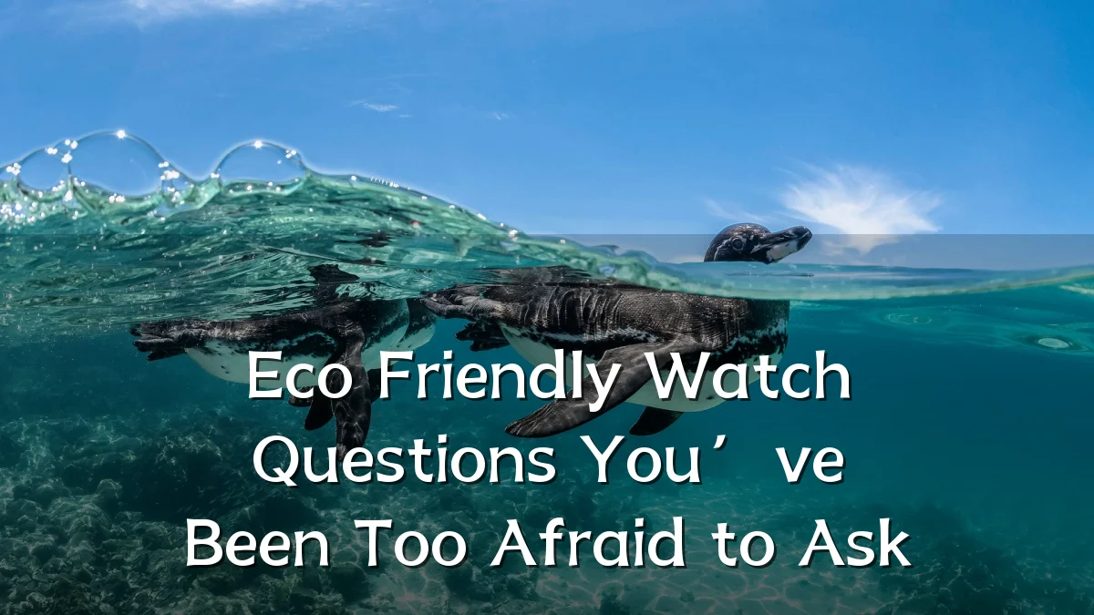 Eco Friendly Watch Questions You’ve Been Too Afraid to Ask
