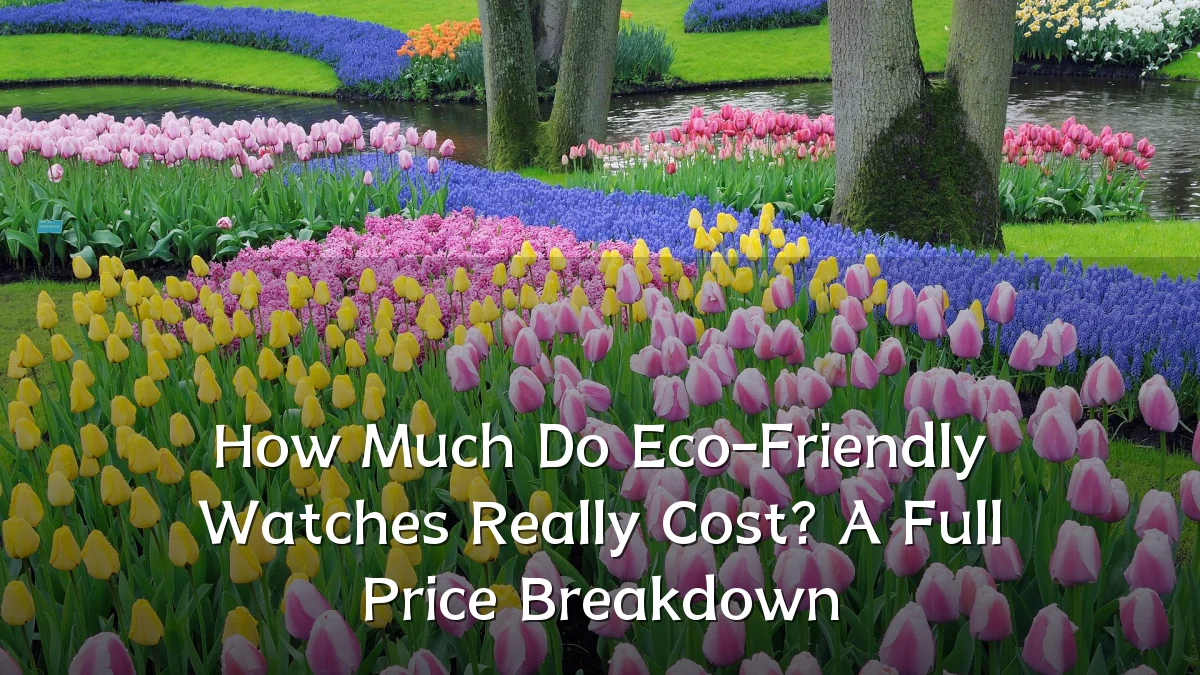 How Much Do Eco-Friendly Watches Really Cost? A Full Price Breakdown
