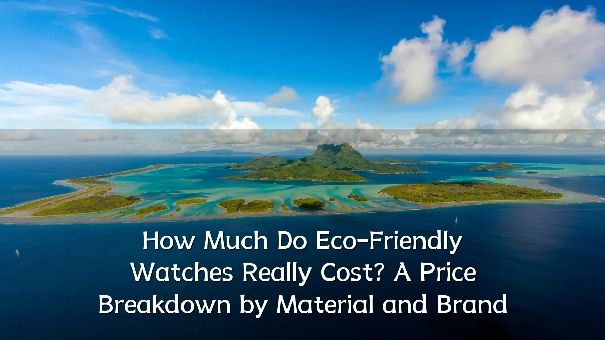 How Much Do Eco-Friendly Watches Really Cost? A Price Breakdown by Material and Brand