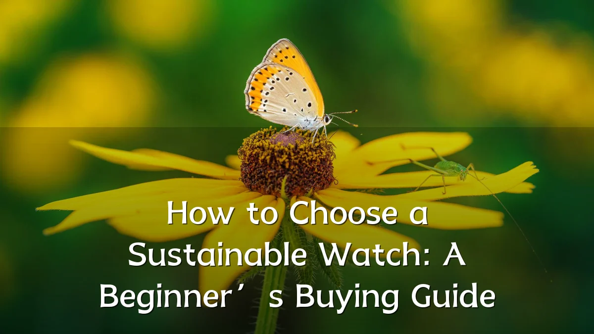 How to Choose a Sustainable Watch: A Beginner’s Buying Guide