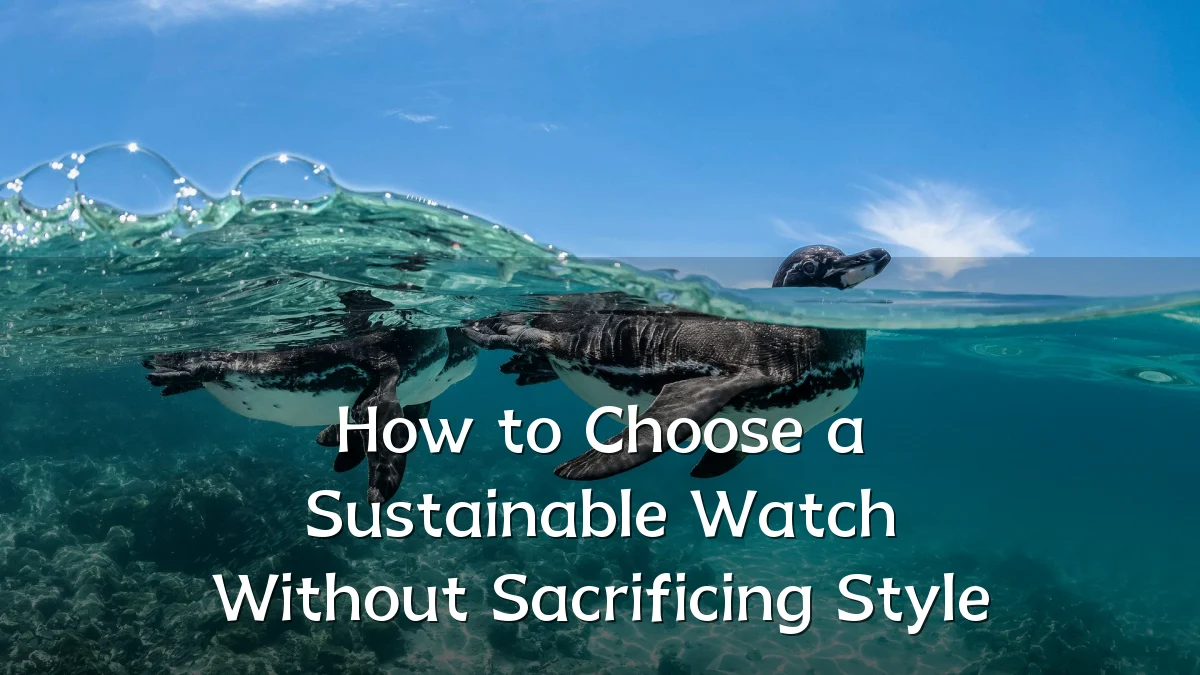 How to Choose a Sustainable Watch Without Sacrificing Style