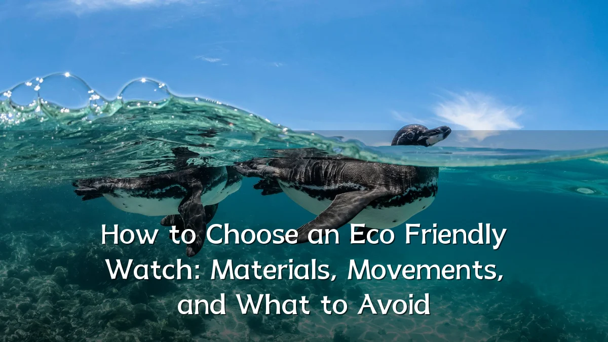 How to Choose an Eco Friendly Watch: Materials, Movements, and What to Avoid