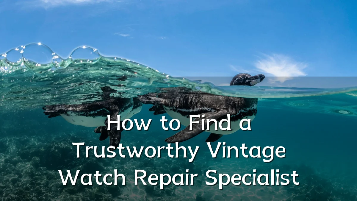 How to Find a Trustworthy Vintage Watch Repair Specialist