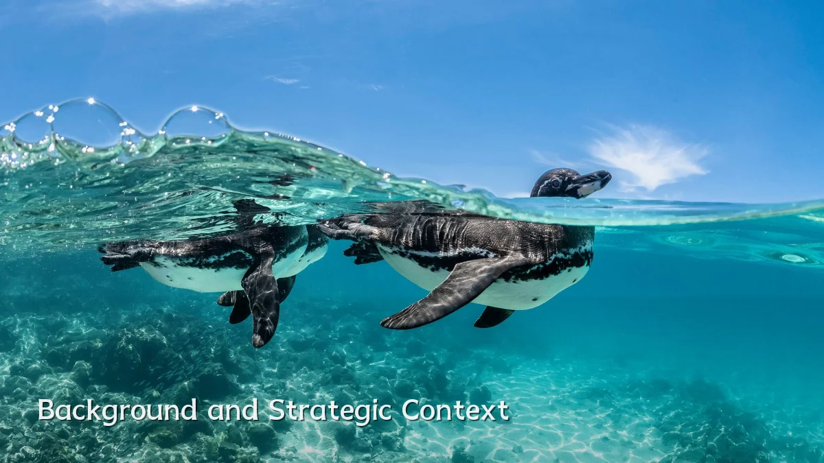 Background and Strategic Context