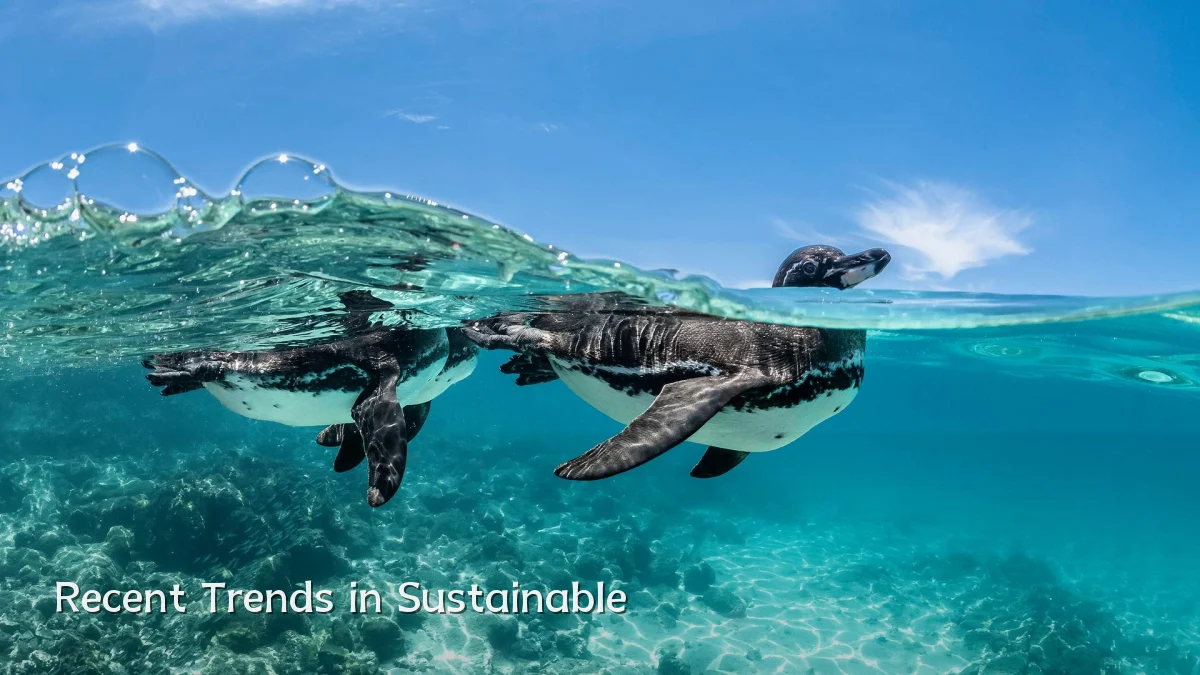 Recent Trends in Sustainable