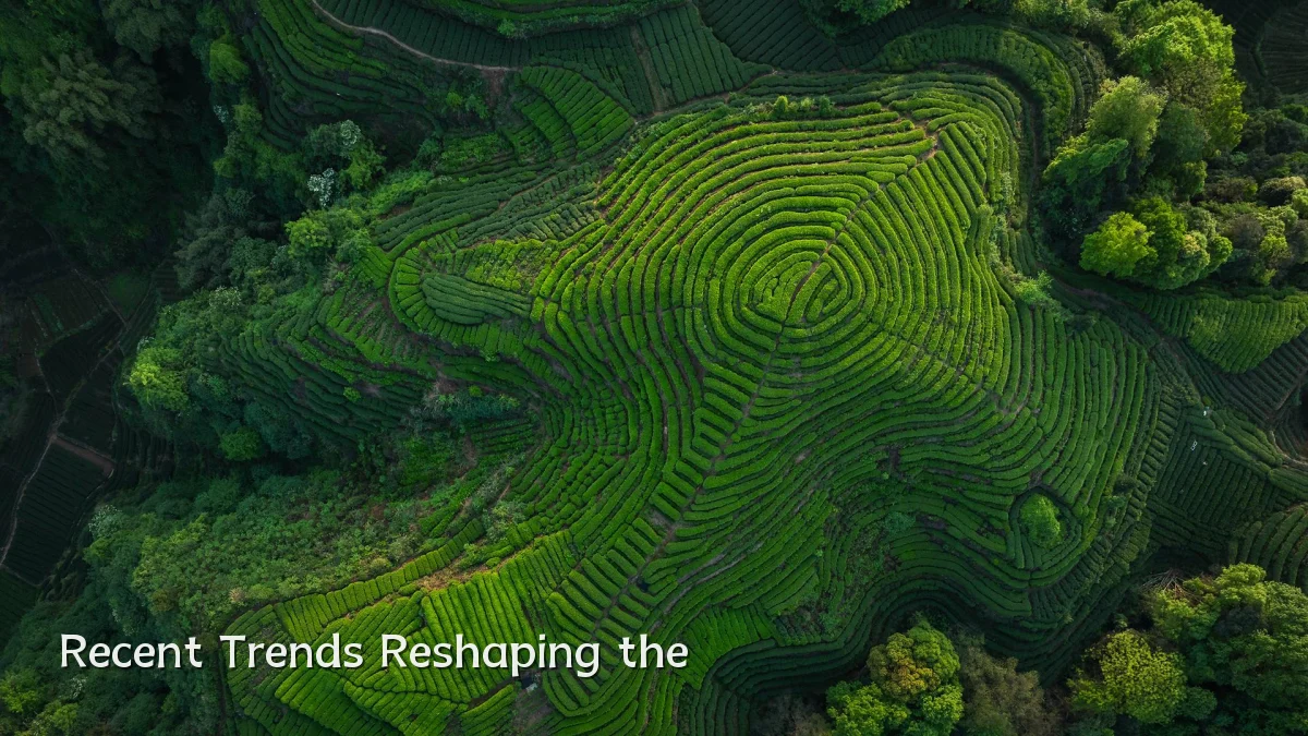 Recent Trends Reshaping the