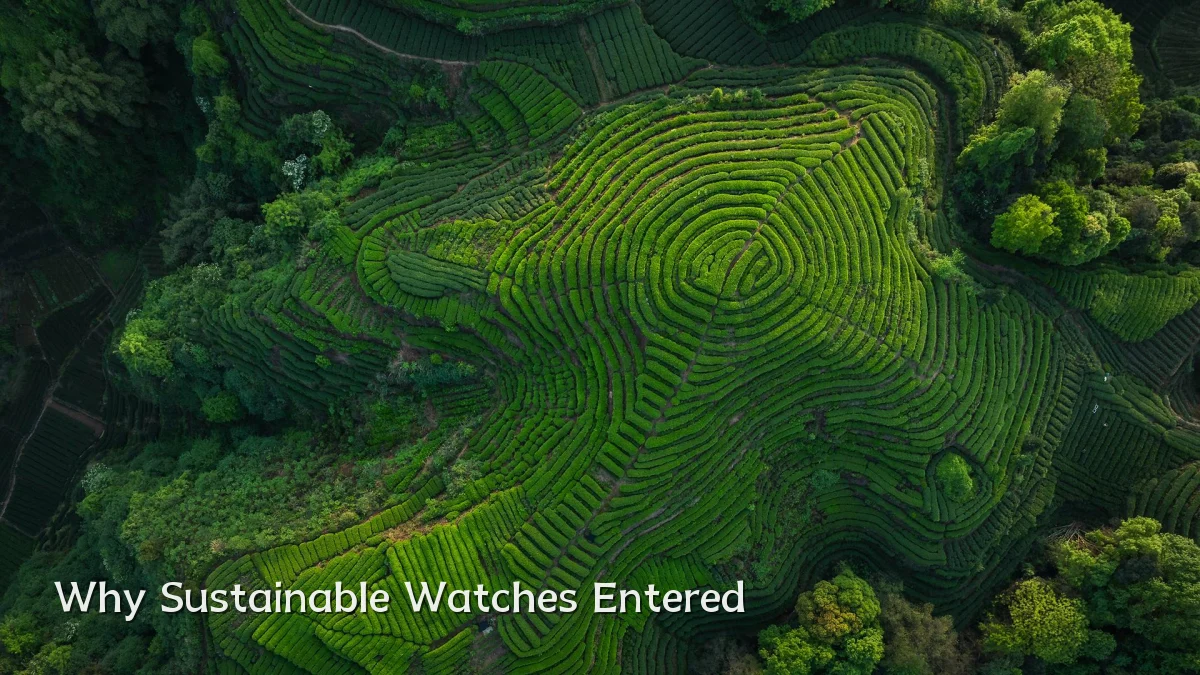 Why Sustainable Watches Entered