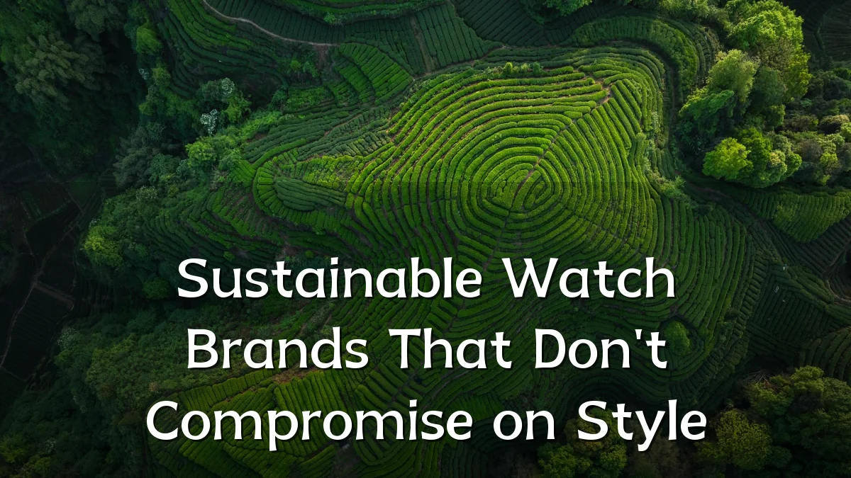 Sustainable Watch Brands That Don't Compromise on Style