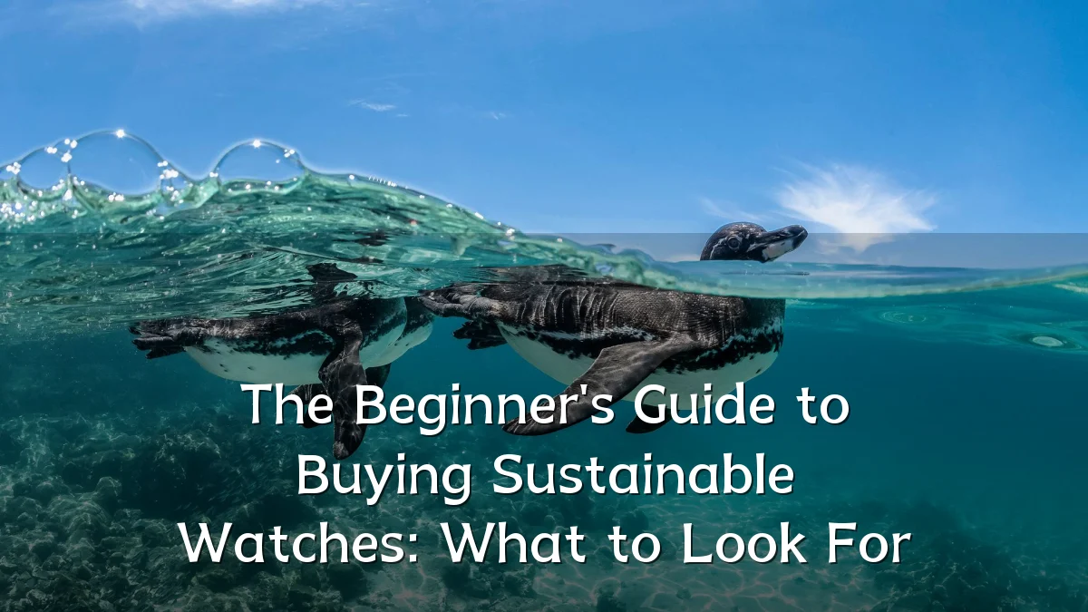 The Beginner's Guide to Buying Sustainable Watches: What to Look For