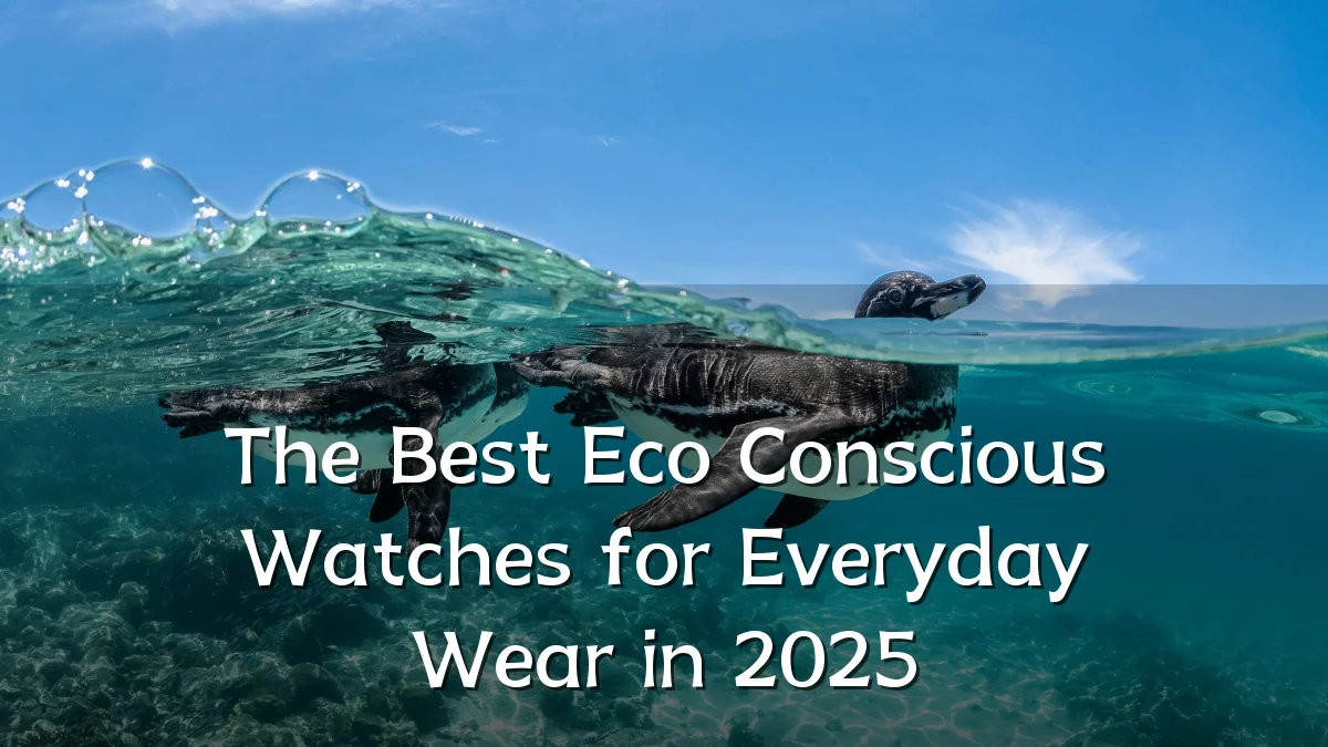 The Best Eco Conscious Watches for Everyday Wear in 2025