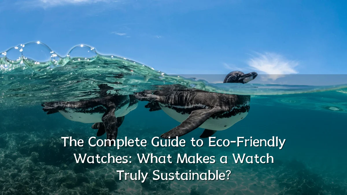The Complete Guide to Eco-Friendly Watches: What Makes a Watch Truly Sustainable?