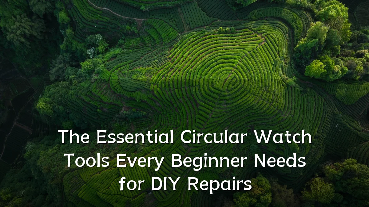 The Essential Circular Watch Tools Every Beginner Needs for DIY Repairs