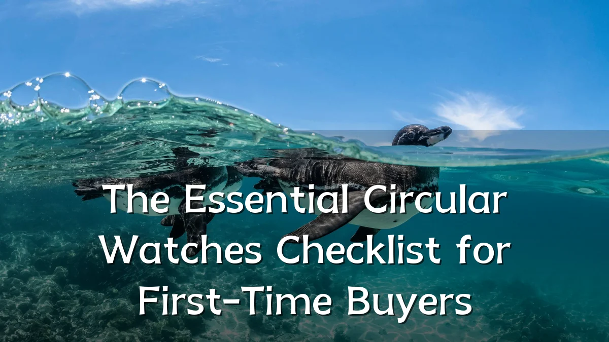 The Essential Circular Watches Checklist for First-Time Buyers