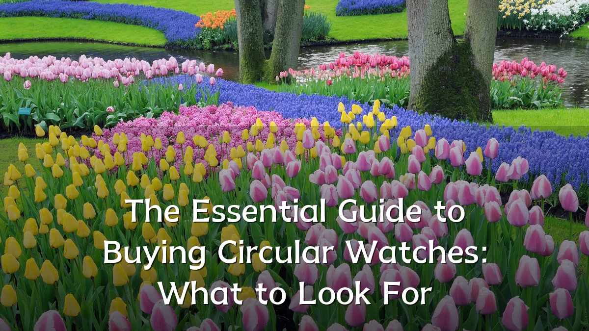 The Essential Guide to Buying Circular Watches: What to Look For
