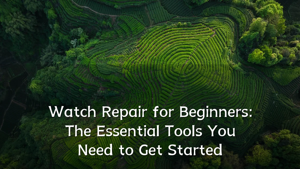 Watch Repair for Beginners: The Essential Tools You Need to Get Started