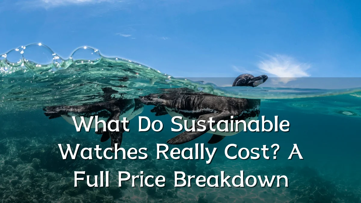 What Do Sustainable Watches Really Cost? A Full Price Breakdown