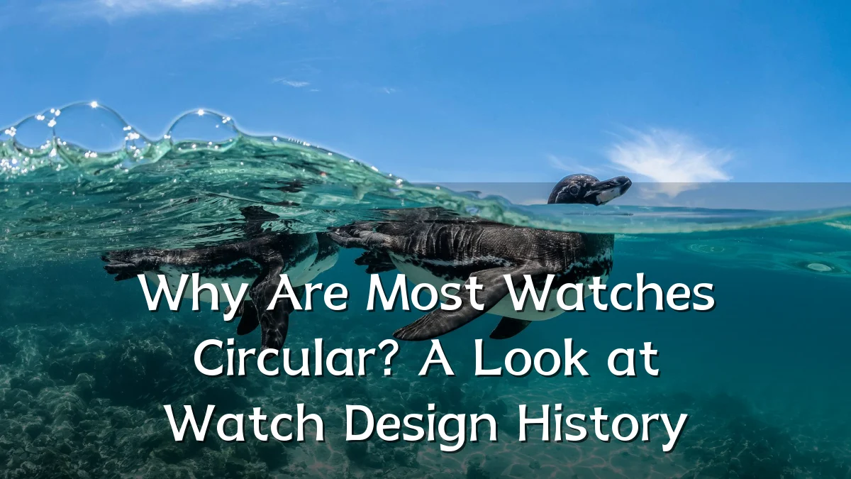 Why Are Most Watches Circular? A Look at Watch Design History