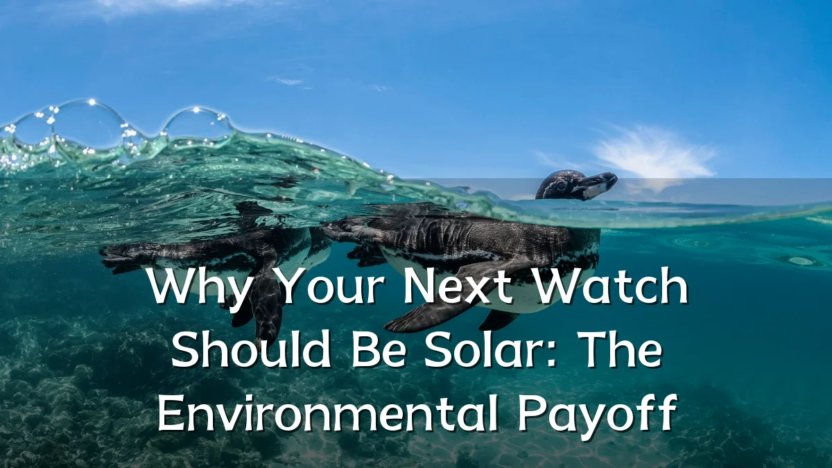 Why Your Next Watch Should Be Solar: The Environmental Payoff