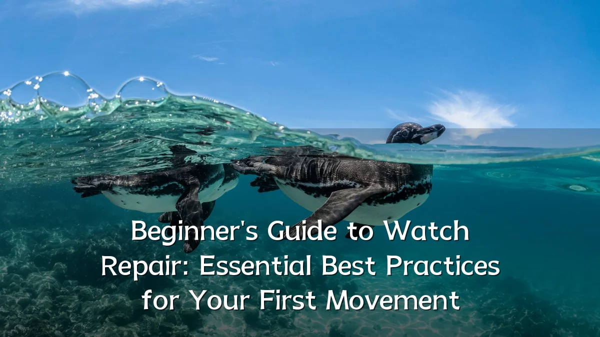 Beginner's Guide to Watch Repair: Essential Best Practices for Your First Movement