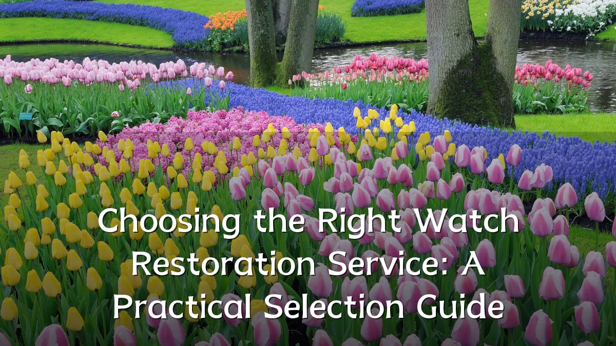 Choosing the Right Watch Restoration Service: A Practical Selection Guide