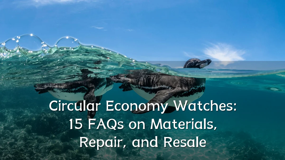 Circular Economy Watches: 15 FAQs on Materials, Repair, and Resale
