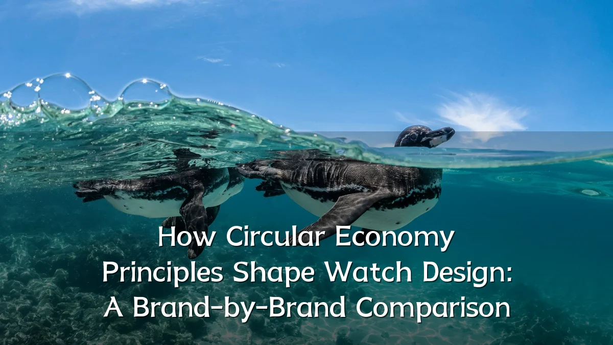 How Circular Economy Principles Shape Watch Design: A Brand-by-Brand Comparison