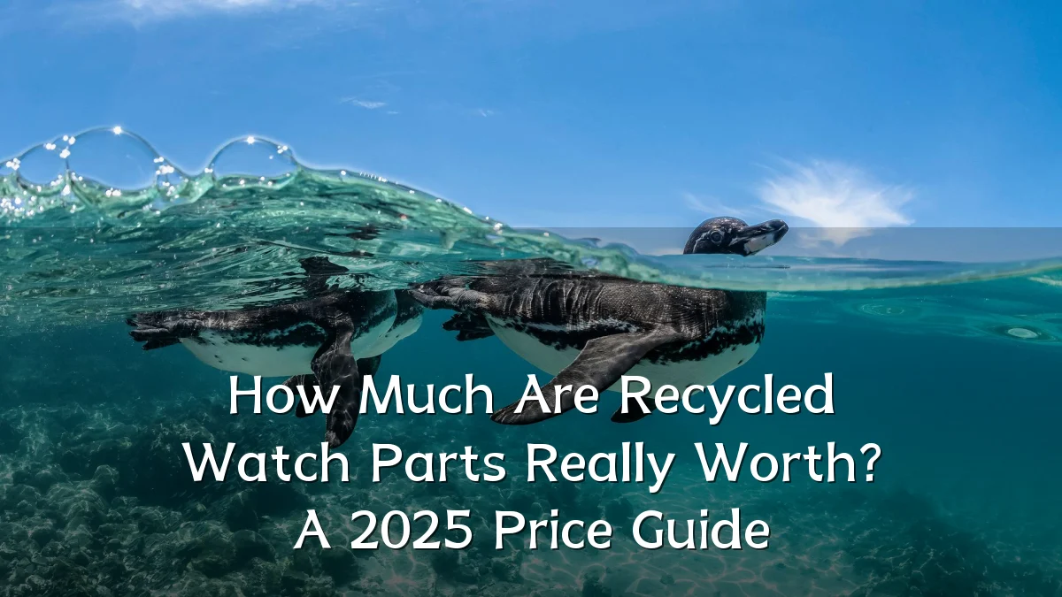 How Much Are Recycled Watch Parts Really Worth? A 2025 Price Guide