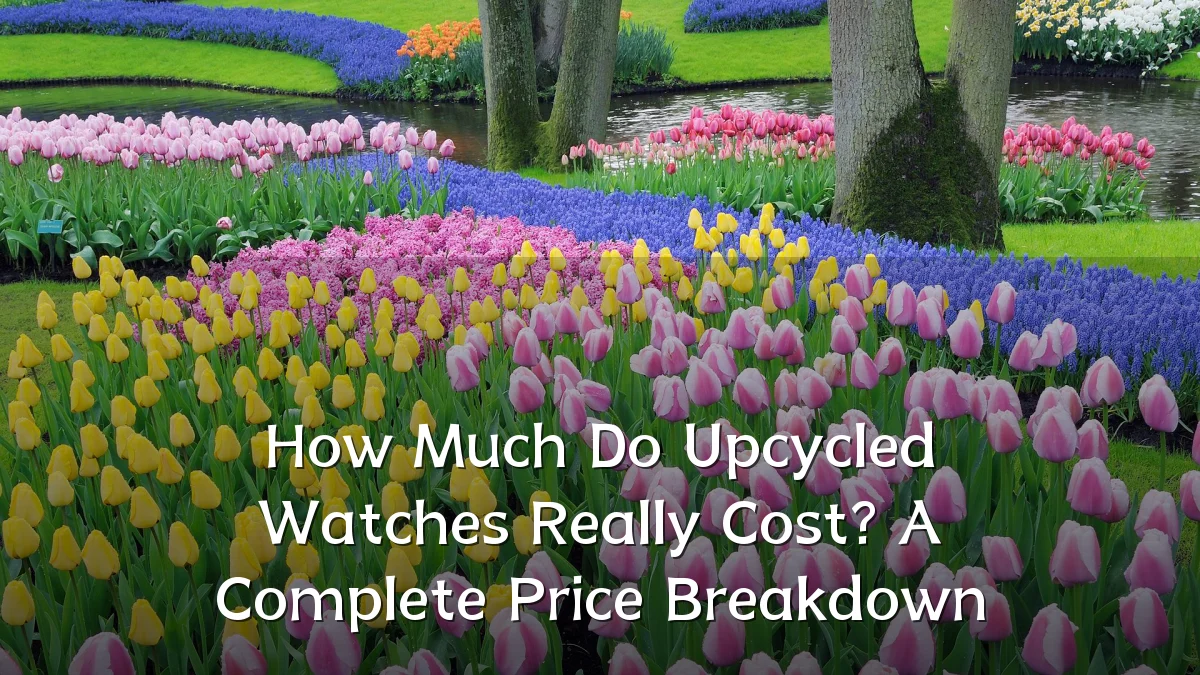 How Much Do Upcycled Watches Really Cost? A Complete Price Breakdown