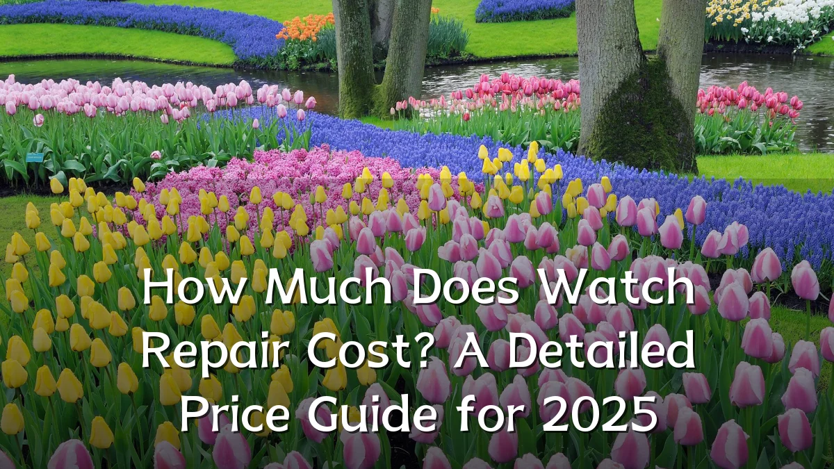 How Much Does Watch Repair Cost? A Detailed Price Guide for 2025
