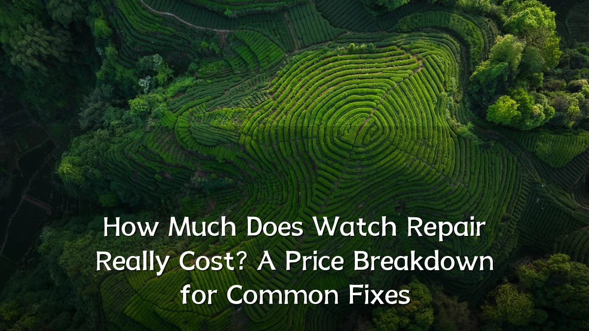 How Much Does Watch Repair Really Cost? A Price Breakdown for Common Fixes