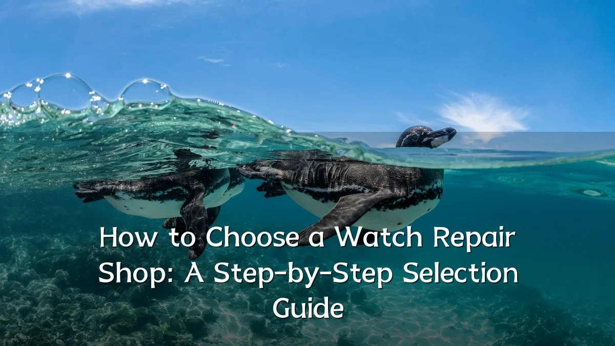 How to Choose a Watch Repair Shop: A Step-by-Step Selection Guide