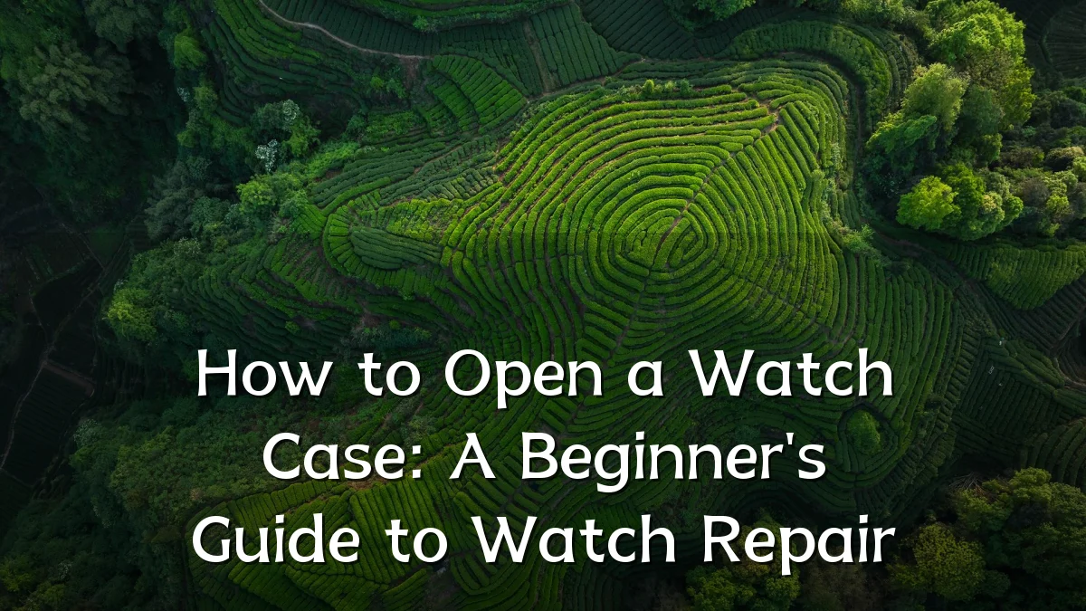 How to Open a Watch Case: A Beginner's Guide to Watch Repair