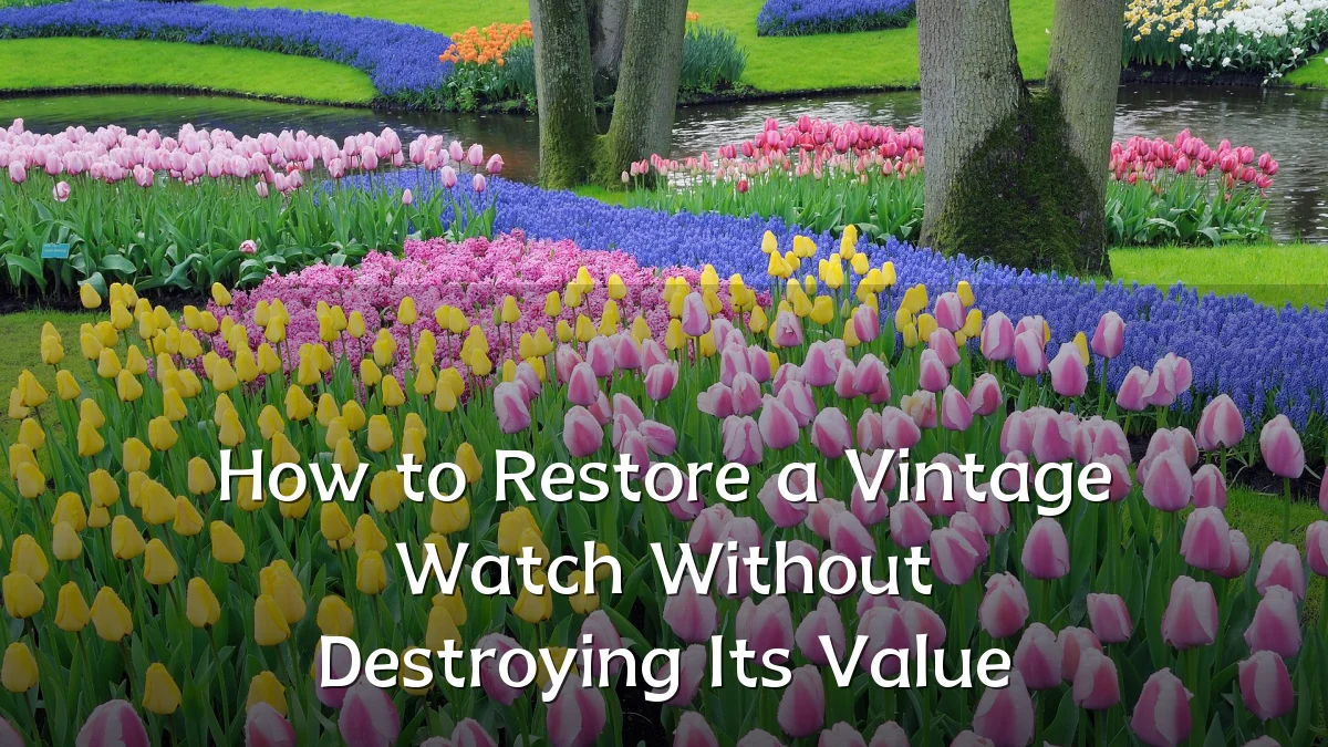 How to Restore a Vintage Watch Without Destroying Its Value