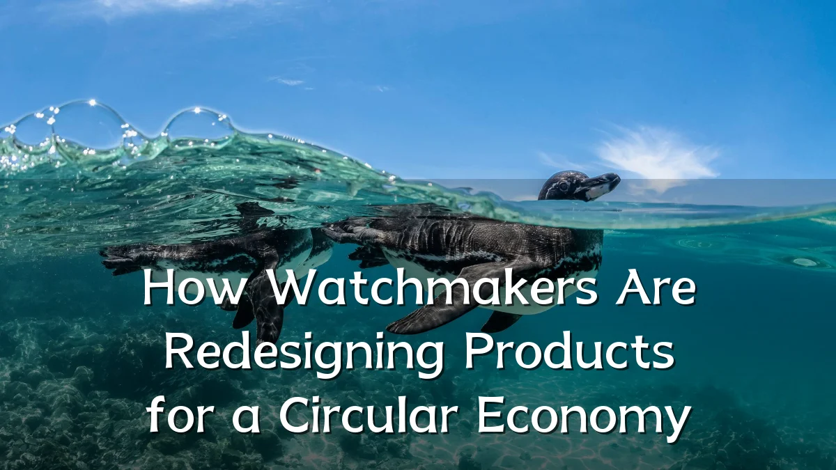 How Watchmakers Are Redesigning Products for a Circular Economy