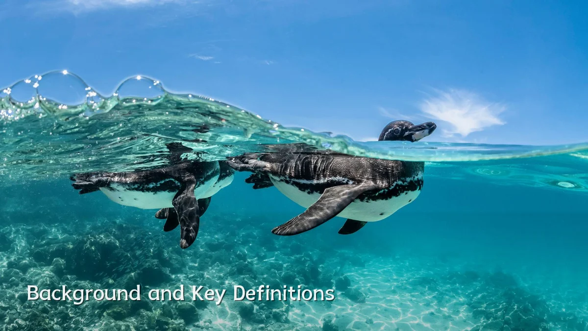 Background and Key Definitions