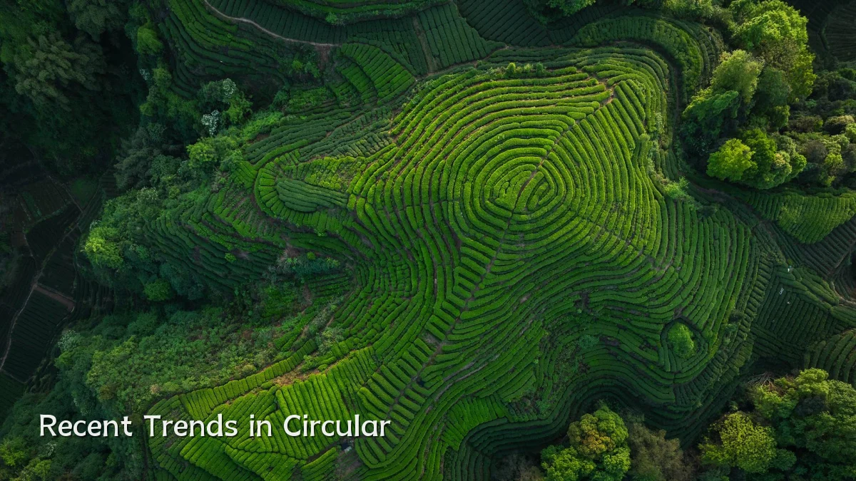 Recent Trends in Circular