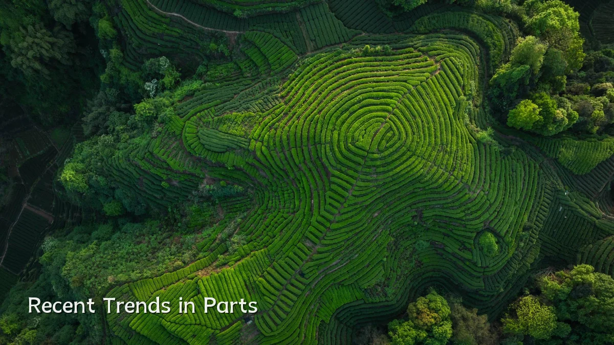 Recent Trends in Parts