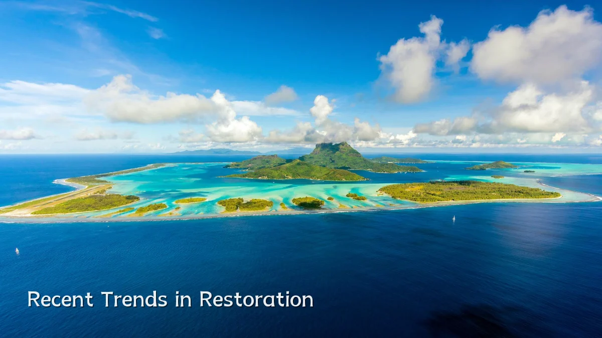 Recent Trends in Restoration