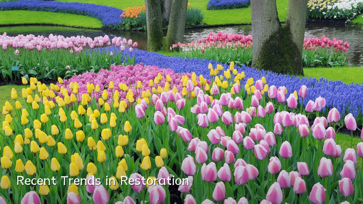 Recent Trends in Restoration