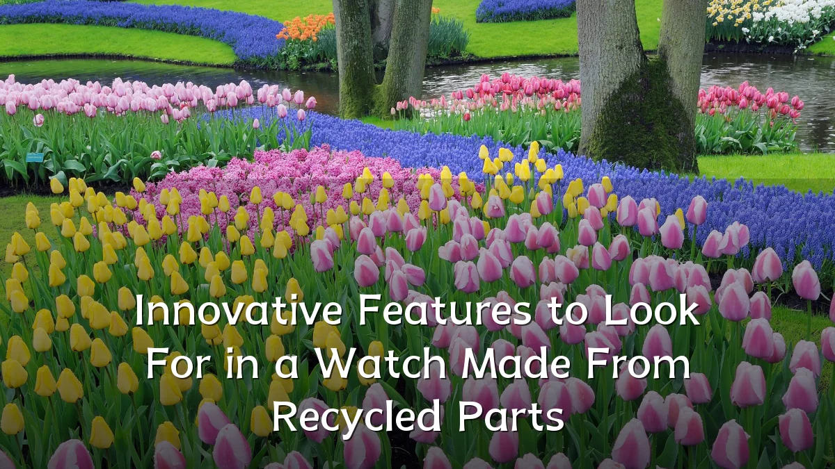 Innovative Features to Look For in a Watch Made From Recycled Parts
