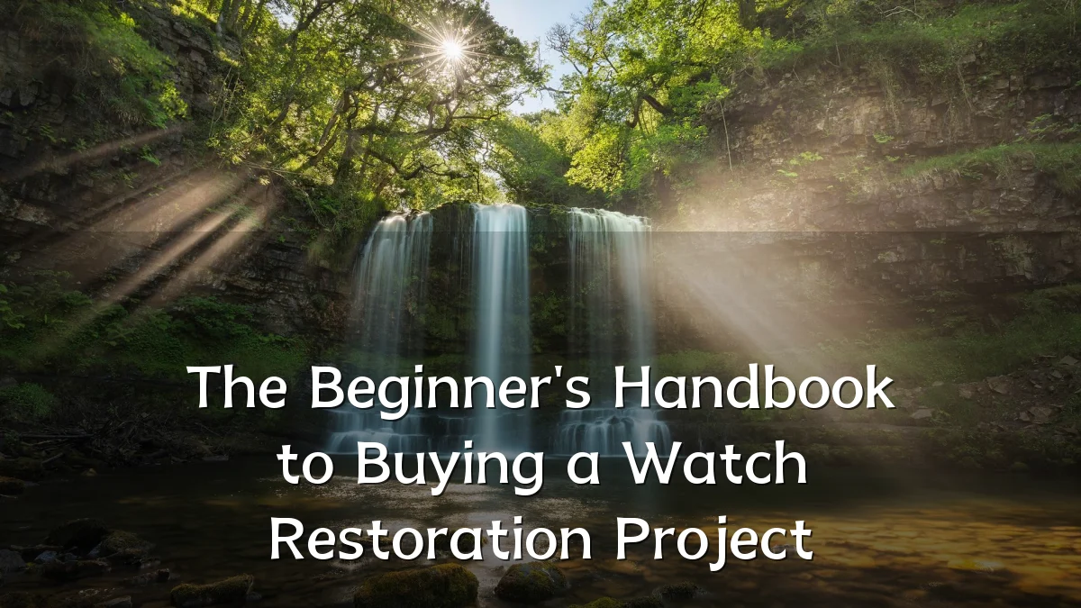 The Beginner's Handbook to Buying a Watch Restoration Project